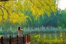 500万足球比分首页-探秘500万足球比分首页,体育迷的数字盛宴与信息枢纽